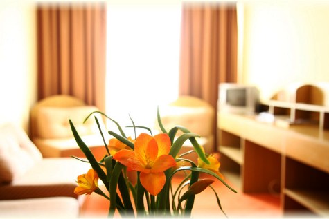 Sz�lloda, rendezv�ny helysz�n, esk�v�i helysz�n, konferenciaterem, magyaros �tterem.Sz�llo
